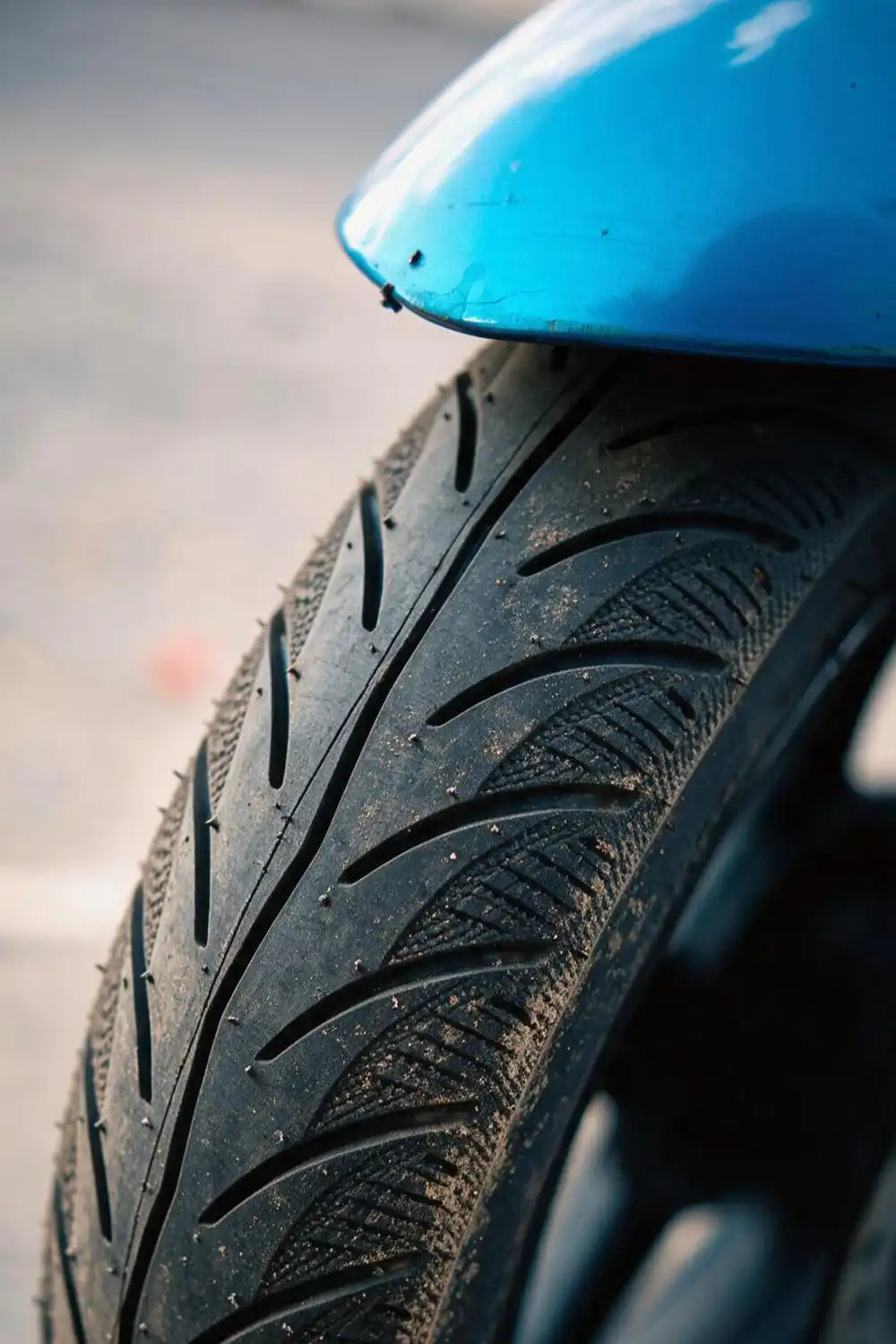 PANTHER 3.50-10 TL Llanta de moto Kov Tires + de motociclista