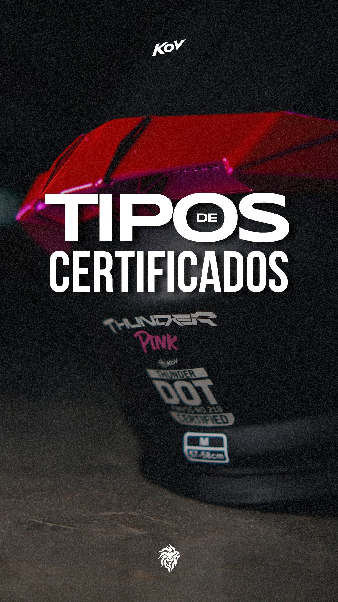 TIPOS DE CERTIFICADOS (DOT, ECE Y DOBLE)